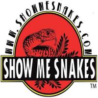 St.Louis Reptile Convention image 2